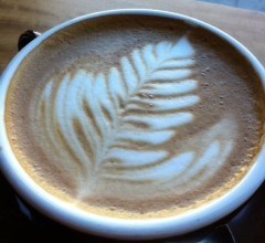 Rhoads_coffee_leaf