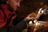 Lead study author Juan-Luis Arsuaga, professor of paleontology at the Complutense University of Madrid, looks at a hominin specimen at the Spanish cave site Sima de los Huesos.