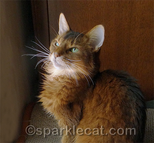 Don't I look angelic here?