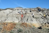 a quarry in Dinosaur Provincial Park, Alberta, Canada