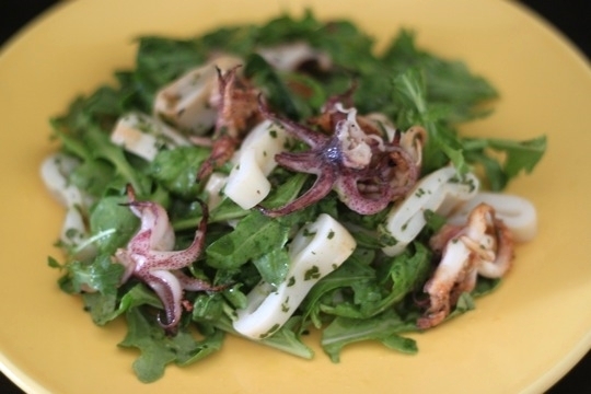 SquidSalad2