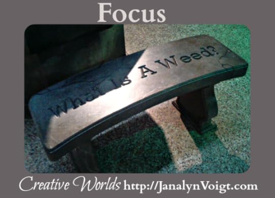 Focus, original poem by Janalyn Voigt | Creative Worlds