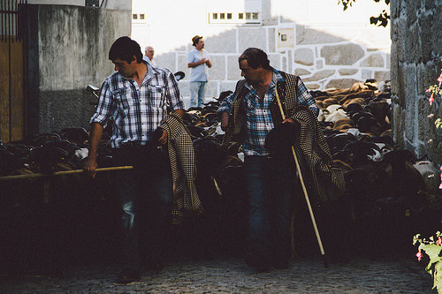 outeiro de espinho