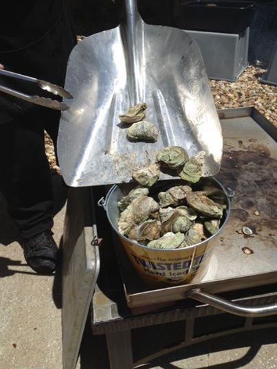 On buckets of roasted oysters from Apalachicola. I won't eat them from May to August. Only months with an 'R' in them. 