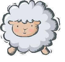 sheep