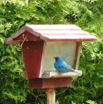 ???????????????????????????????