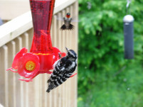 ???????????????????????????????