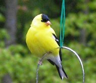 ???????????????????????????????