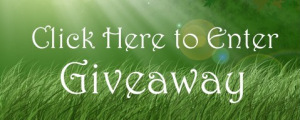 GiveawayButton