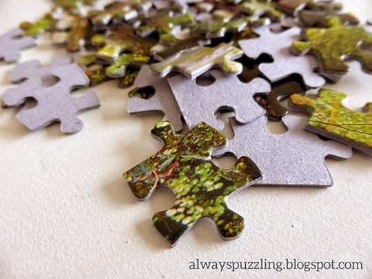 Jigsaw puzzle pieces
