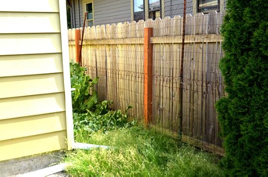side-yard