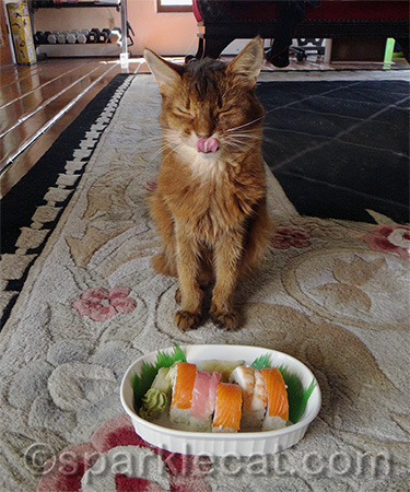 Never mind Binga - I had to keep my human's grubby hands off the sushi!