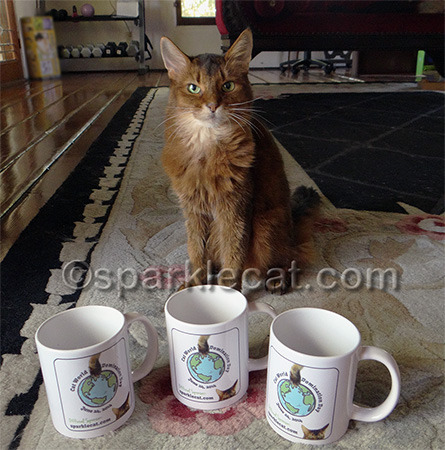 Don't worry, Binga did not drink out of any of them.