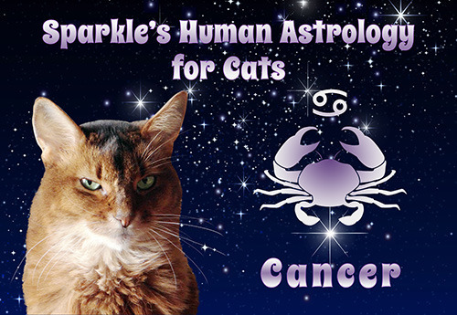 Sparkle's Human Astrology for Cats - Cancer
