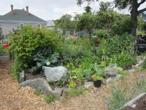 Fernwood Community Garden