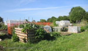 Agnes Street Community Garden