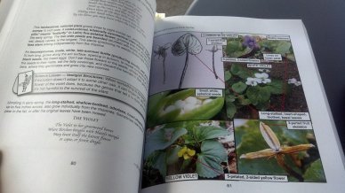 10379972_10103881631356529_8219874635278652099_o