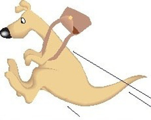 kangaroo_and_pouch_52145