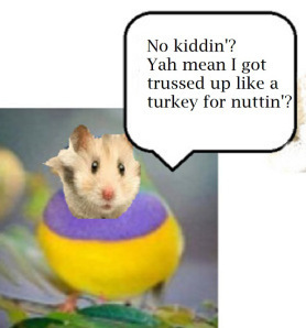 bitrds-bqyc4awciaaulky19