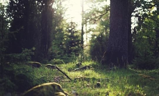 The Treasure Makes All the Difference