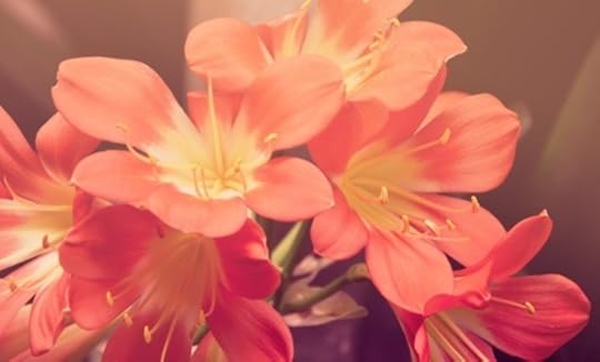 Let Darwin Teach You