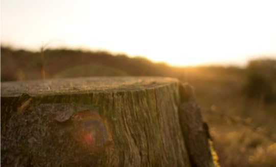 When Wasting Your Life Is Worship