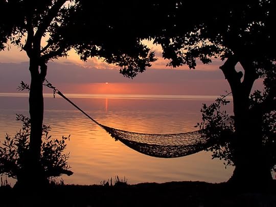 Getting into a hammock like this on a day like that is not a mistake. Whoever took this picture is an expert relaxer!