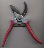 Pruning words shears.