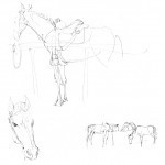 Horses at the YMCA