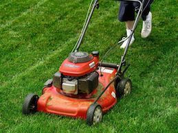 lawn-mower