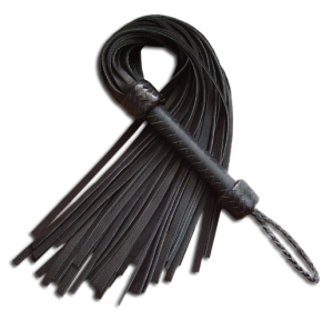 flogger1