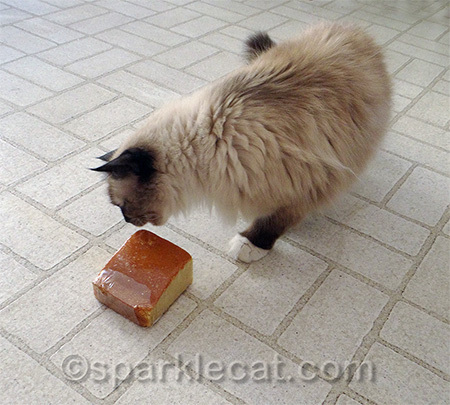 What a shameless display of cornbread lust!