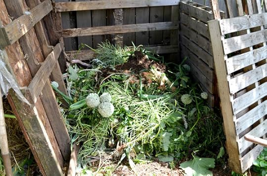 greens-compost-layer