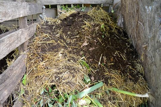 compost-layers
