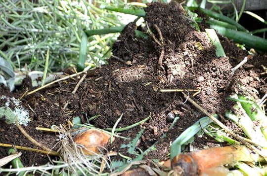 compost-innoculate