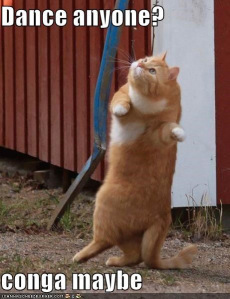 Come on, dance!