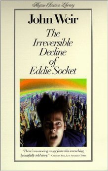 The Irreversible Decline of Eddie Socket by John Weir