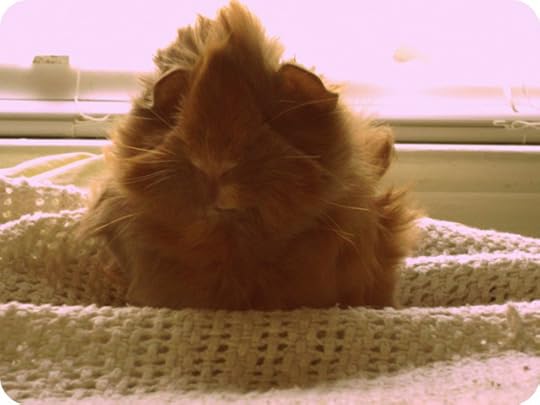 A beast! A sweet little beast!