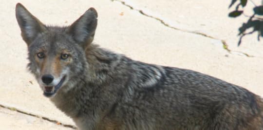 Screen Shot 2014-06-23 at 6.45.10 PM