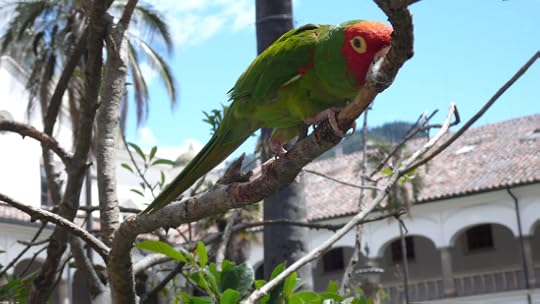 14308732737_932375637b_o