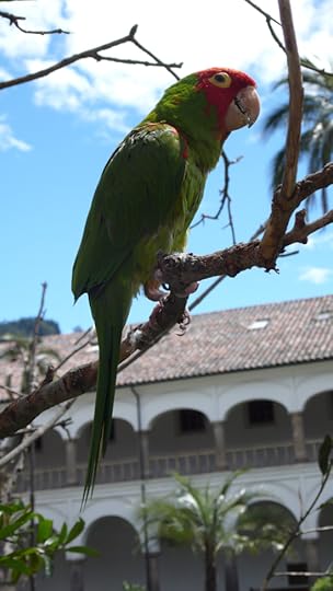 14308545220_08bacba53a_o