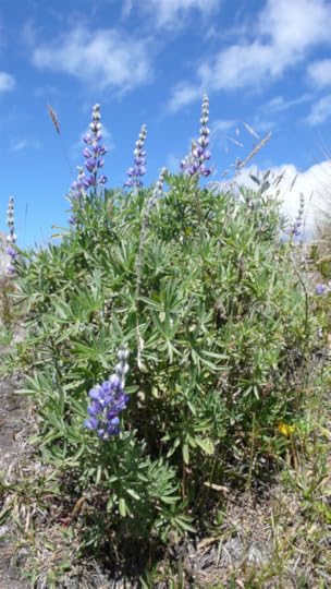 Screen Shot 2014-06-20 at 4.53.54 PM