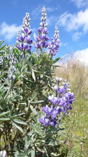 Screen Shot 2014-06-20 at 4.54.08 PM