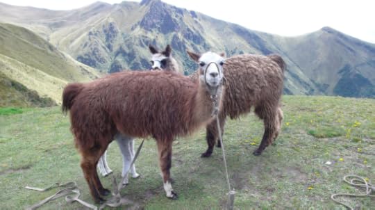 Screen Shot 2014-06-20 at 11.56.51 PM