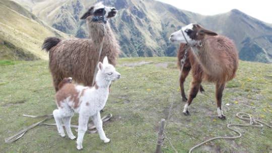 Screen Shot 2014-06-20 at 11.57.06 PM