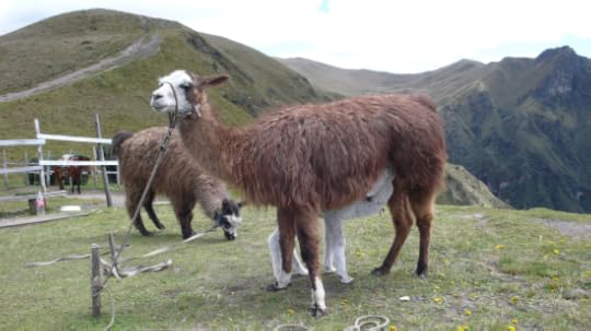 Screen Shot 2014-06-20 at 11.59.14 PM