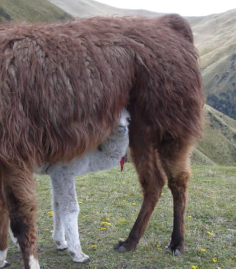 Screen Shot 2014-06-20 at 11.58.28 PM