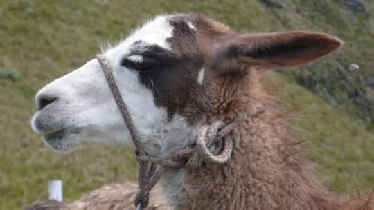 Screen Shot 2014-06-21 at 12.08.02 AM