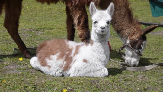 Screen Shot 2014-06-21 at 12.10.56 AM