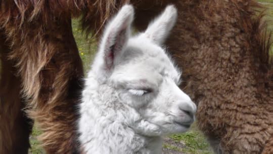 Screen Shot 2014-06-21 at 12.13.33 AM